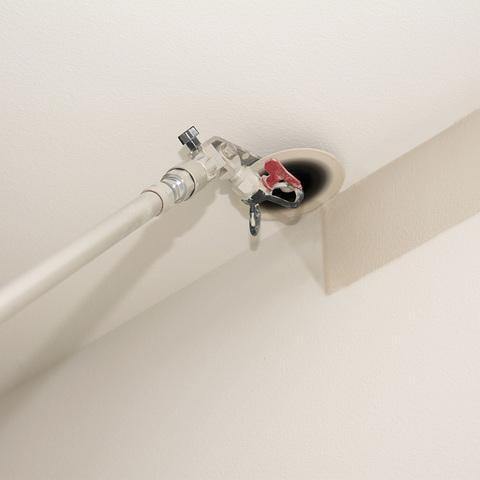 Perfect Edge Paint Roller