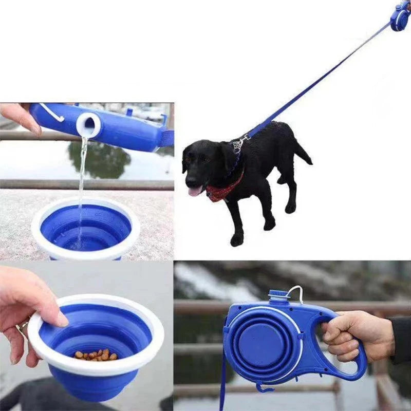 PetPawfect Combo Leash